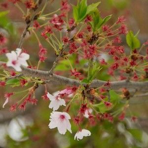 Meet your Posher, Ian